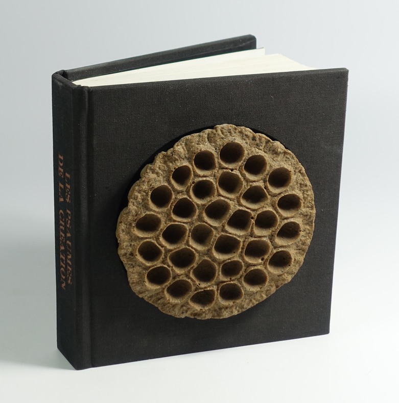 Collectif, "Les psaumes de la création‎" ‎Robert Morel éditeur, 1968-69. Trente empreintes originales d